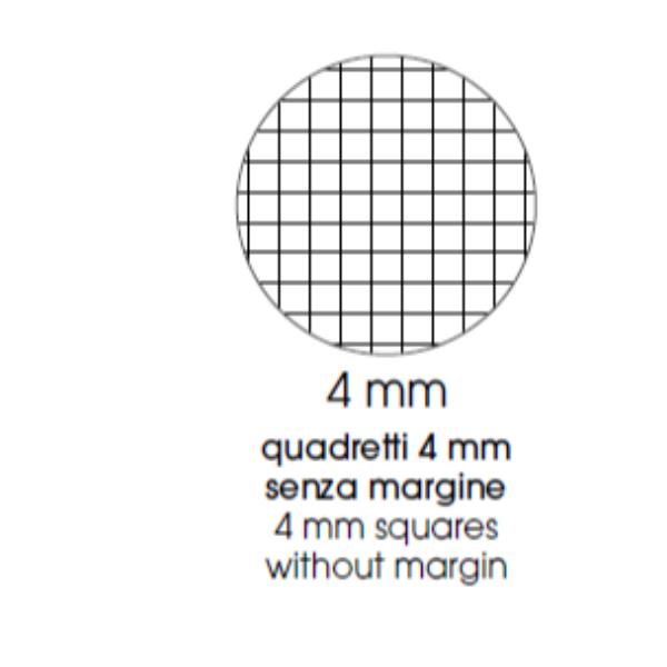 Cf10 Quad. Color Ppl A4 80Gr R.4Mm - immagine 6