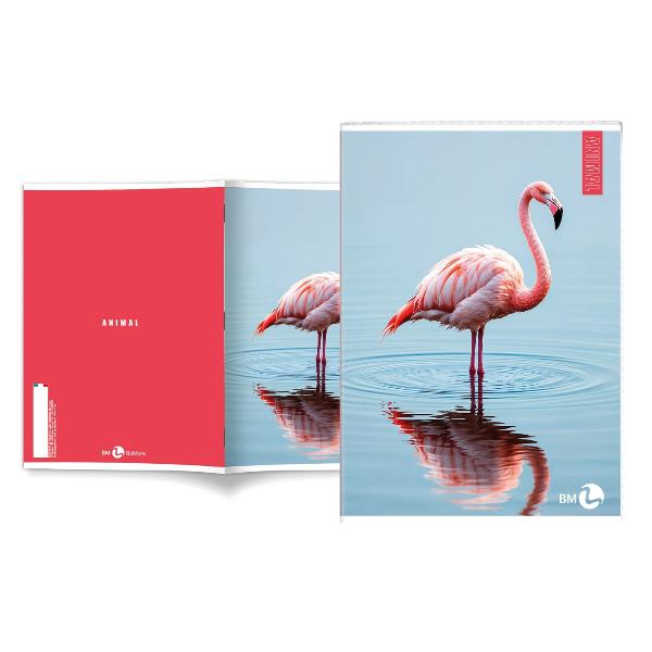 Cf 10 Quaderni Animal A4 80Gr R.a - immagine 4