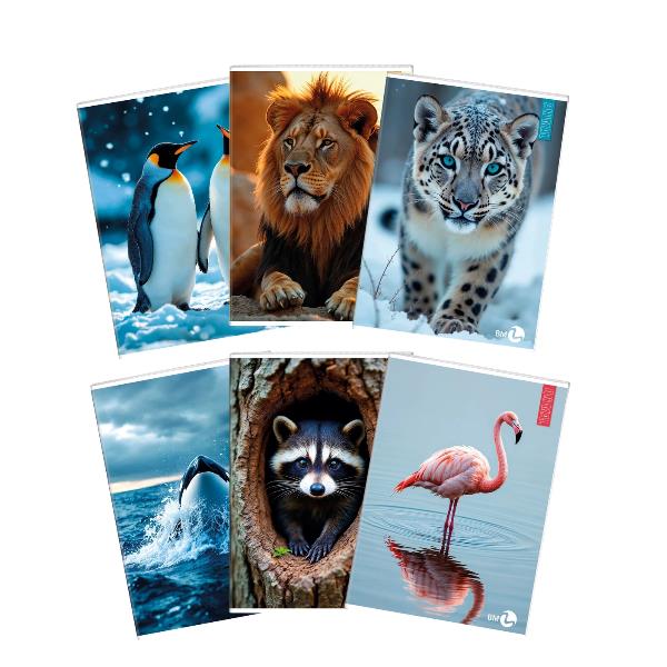 Cf 10 Quaderni Animal A4 80Gr R.a - immagine 5