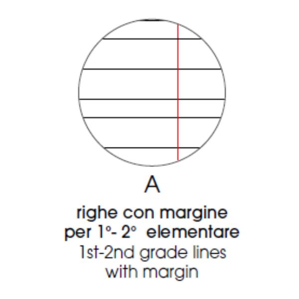 Cf 10 Quaderni Animal A4 80Gr R.a - immagine 6