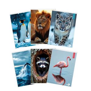 Cf 10 Quaderni Animal A4 80Gr R.a