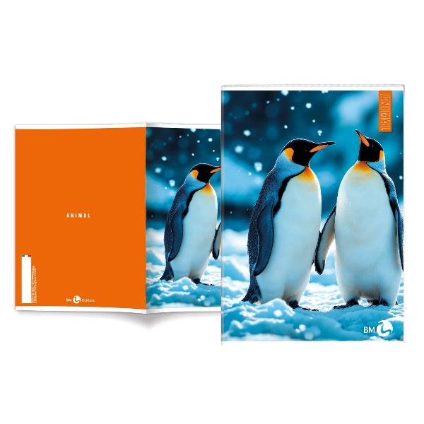 Cf 10 Quaderni Animal A4 80Gr R.10F - immagine 5