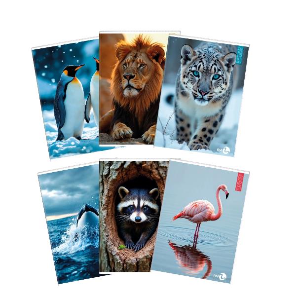 Cf 10 Quaderni Animal A4 80Gr R.10F