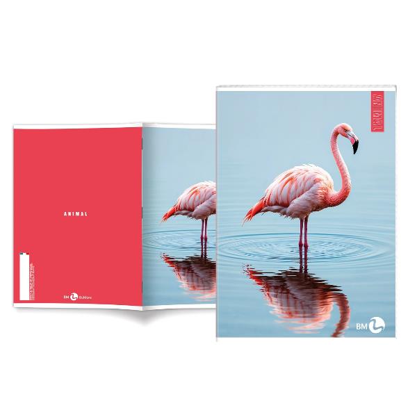 Cf 10 Quaderni Animal A4 80Gr R.10F - immagine 3