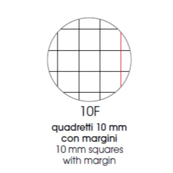 Cf 10 Quaderni Animal A4 80Gr R.10F - immagine 6