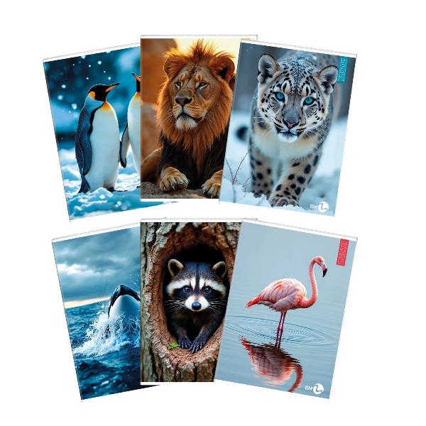 Cf 10 Quaderni Animal A4 80Gr R.10F - immagine 7