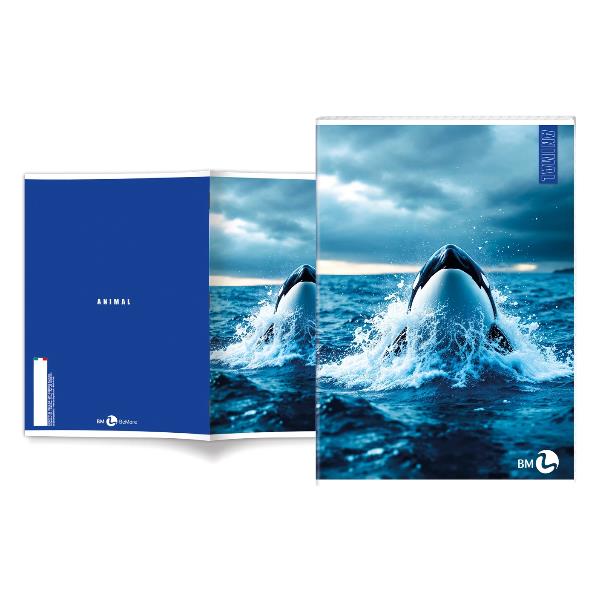 Cf 10 Quaderni Animal A4 80Gr R.c - immagine 2