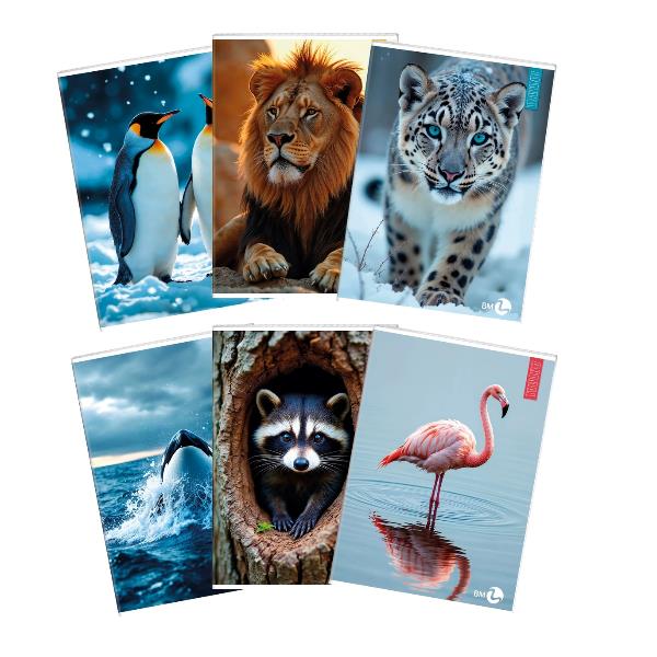 Cf 10 Quaderni Animal A4 80Gr R.c - immagine 5