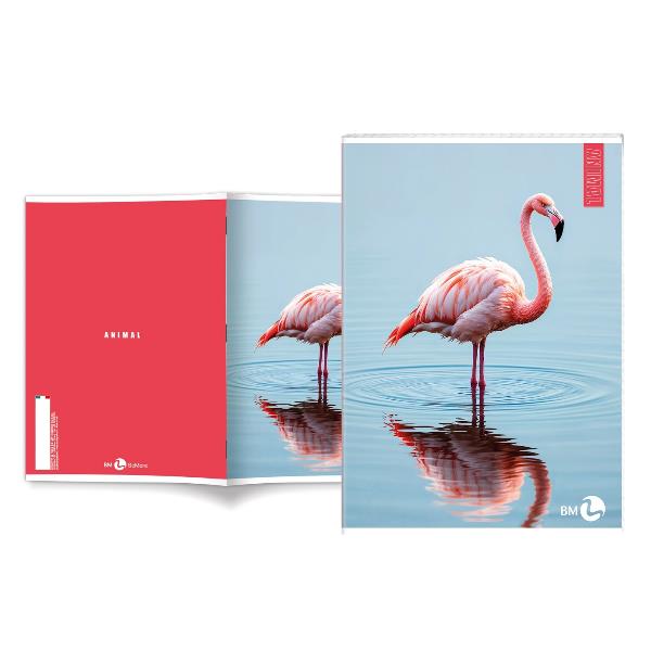 Cf 10 Quaderni Animal A4 80Gr R.c - immagine 8