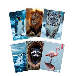 Cf 10 Quaderni Animal A4 80Gr R.5Mm