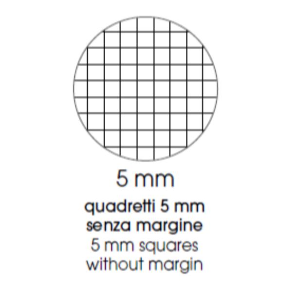 Cf5 Quad Cart A4 80Gr R.5Mm Col Ass - immagine 5