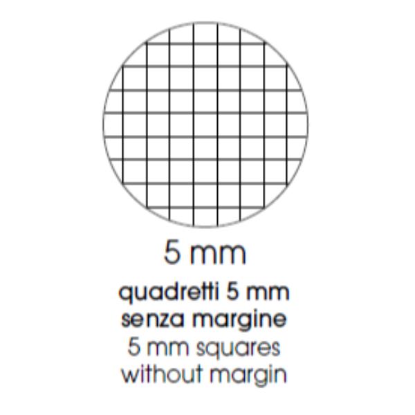 Cf5 Quad Cart A5 80Gr R.5Mm Col Ass - immagine 2