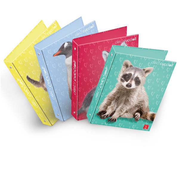 Cf5 Raccoglitori Ad Anelli A4 27X32 - immagine 2