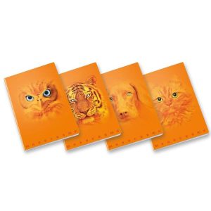 Cf10 Orange A4 100Gr R.5M Ff38