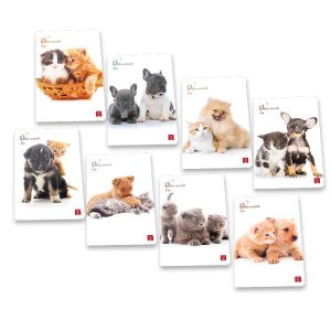 Cf10 Qua 20Fg Dolci Cucc A4 80G Ass