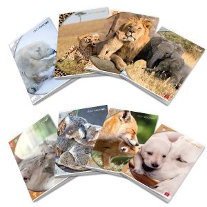 Cf10 Maxi Dolci Cuccioli 42Ff/Sh 4M