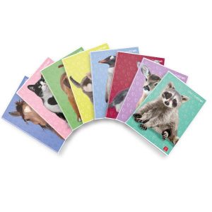 Cf10 Maxi D.cuccioli 42Ff 0Q F.toa4