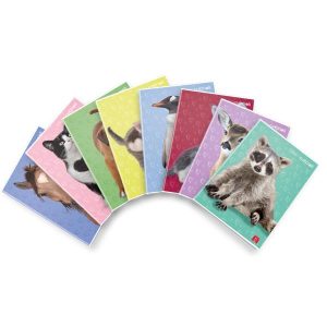 Cf10 Maxi D.cuccioli 42Ff 10 F.toa4