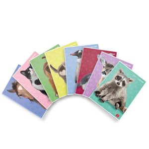 Cf10 Maxi D.cuccioli 42Ff 4M F.toa4