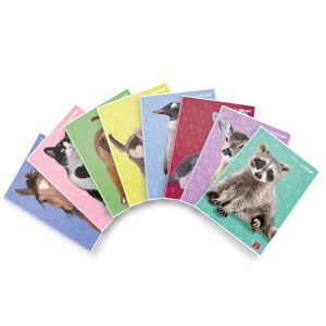 Cf10 Maxi D.cuccioli 42Ff 5M F.toa4