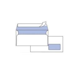 Cf50 Buste Edera C/Fin 11X23Cm