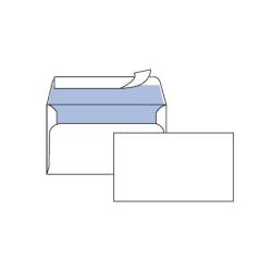 Cf25 Buste Edera S/Fin 11.4X16.2Cm