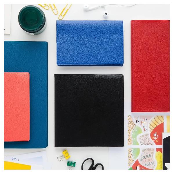 Esecutivo Rubr. It Club Lampone - immagine 4