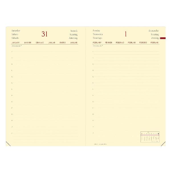 Daily 21 Prest Ml Silk Nero - immagine 2