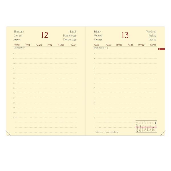 Daily Pocket Prest Ml Silk Bordea - immagine 3