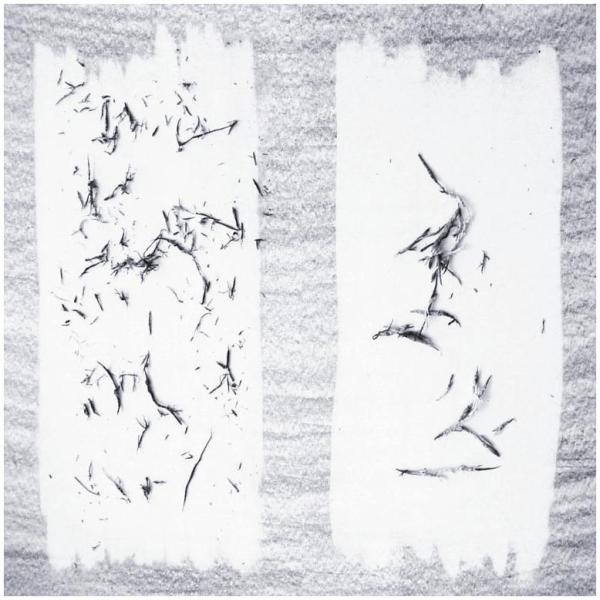 Expo 80 Gomme Mars Plastic 526 50 - immagine 5