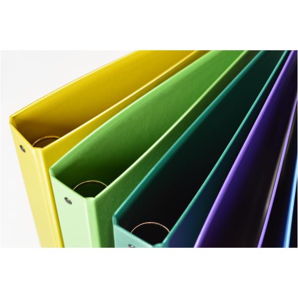 Raccogl Nettuno30A4 Blu2R - immagine 3