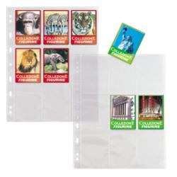 Cf10 Buste Portafigurine A4 9 Spazi