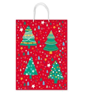 Cf10 Bor.cordon. Rex F.to 20X25X10