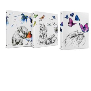 Cf12 Racc.icon Friends A4 4R 25Mm