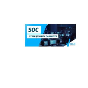 Cybsec Fl Mngd Soch24 End D R 100Dv