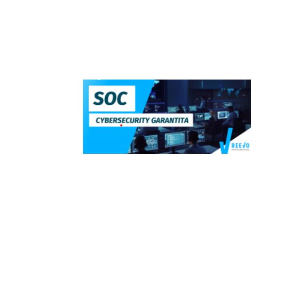 Cybsec Fl Mngd Soch24 End D R 100Dv - immagine 2