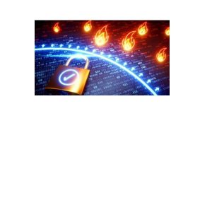 Virt Frw-1Istanza Dedicata-1Gb