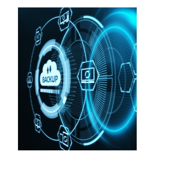 Cldbox-Workstation Agent-10 Licenze - immagine 2