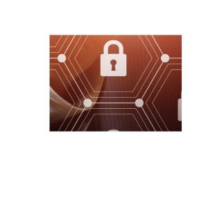 Internet Pent Test Nero Box 5 Ip