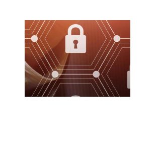 Cyb Attk Sim 4Run Annual Max 750Ip