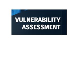 Continuous Vuln Ass Scan-1Scanner