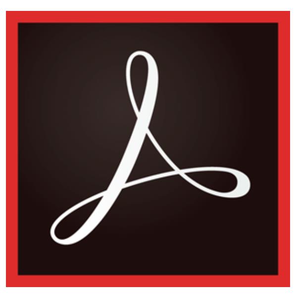 Acro Pro Teams Ml New Gov - immagine 2