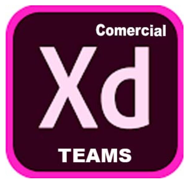 Xd Pro Teams Ml New Gov - immagine 2