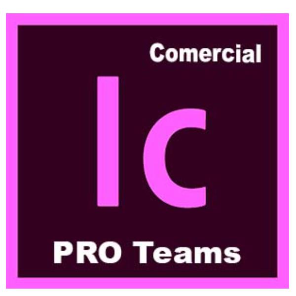 Incopy Pro Teams Ml New Gov - immagine 2