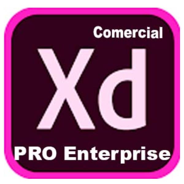 Xd Ed4 Ent Ml New Gov - immagine 2