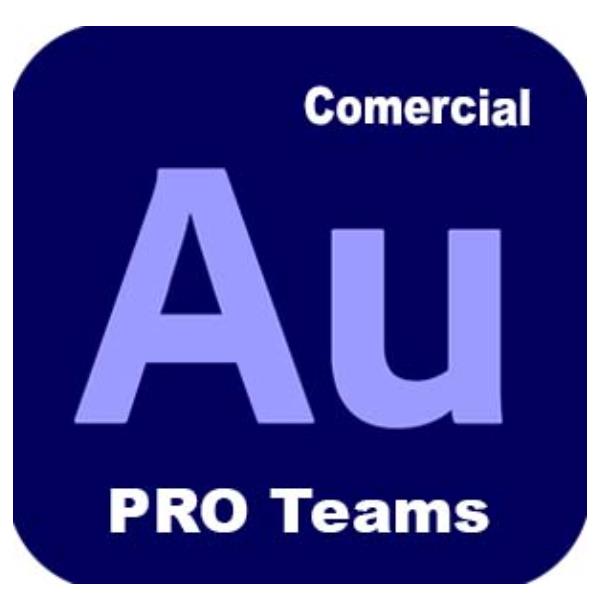 Audition Pro Team Ml New Gov