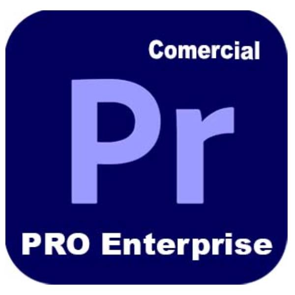 Premier Ed4 Ent Ml New Gov - immagine 2