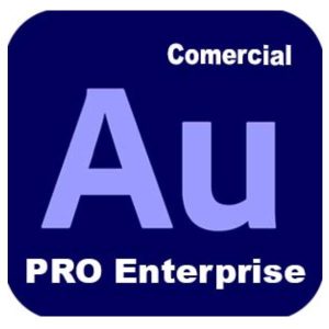 Audition Ed4 Ent Ml New Gov