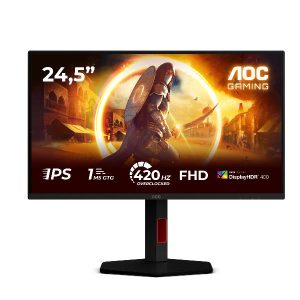 Monitor 24,5 Fast IPS Reg Alt