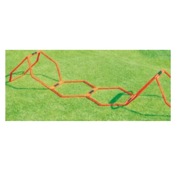 Ostacoli Ad Alveare - immagine 3